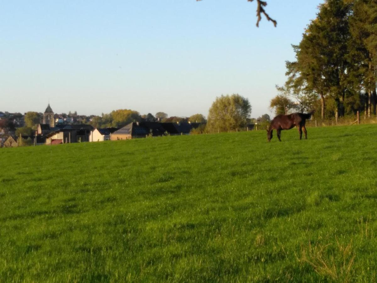 Vakantiewoning Hoge Zavel Brakel Bagian luar foto